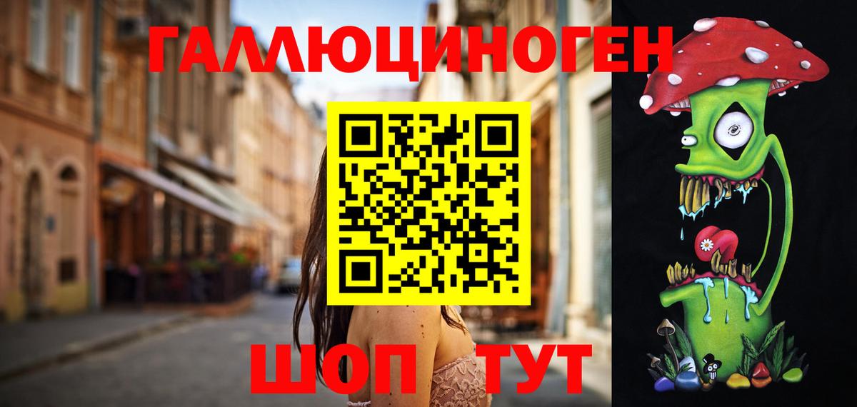 Галлюциногенные грибы Psilocybe Касимов